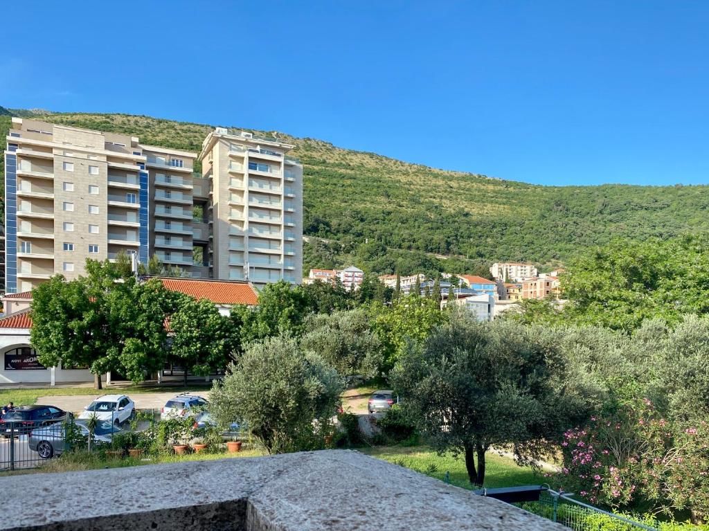 Апартаменты Family Beachfront Apartment Петровац